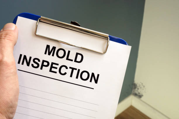 Best Comprehensive Air Testing for Mold Contaminants  in Ventnor City, NJ